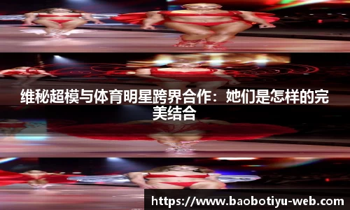 宝博体育官网